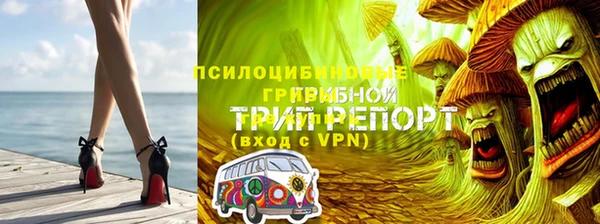 MESCALINE Алзамай