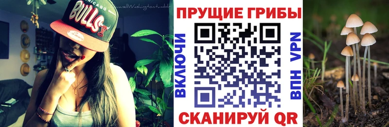 Псилоцибиновые грибы Magic Shrooms  MEGA как войти  Липки 